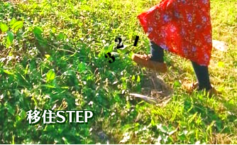 移住STEP